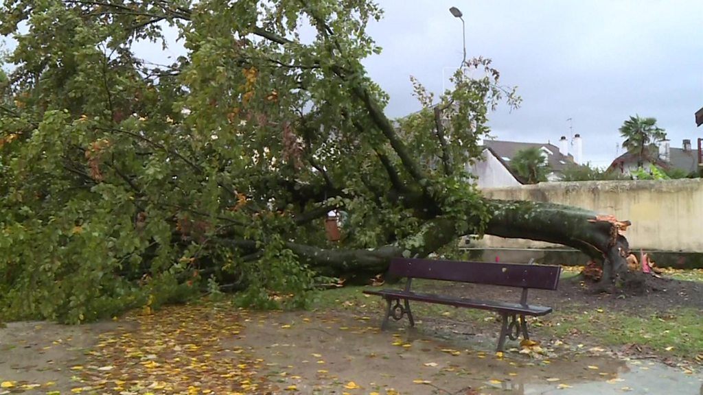 Storm Amélie leaves thousands without electricity in France