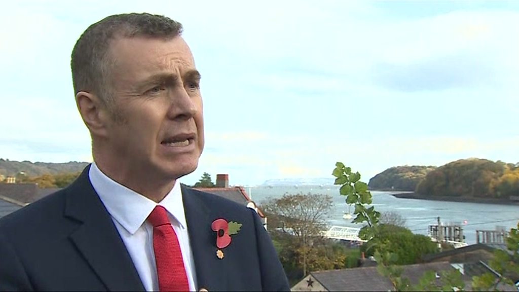 General Election 2019: Plaid's ambition 'without limit'
