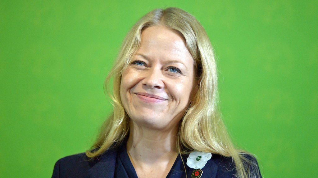 General election 2019: Green Party pledges £100bn a year for climate action