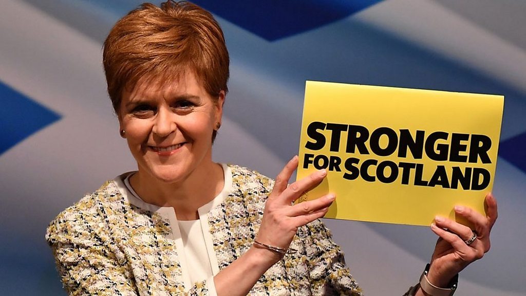 General Election 2019 Snp Manifesto At A Glance Bbc News 