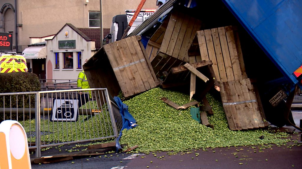 Huge Brussels sprout spill after trailer crash in Rosyth