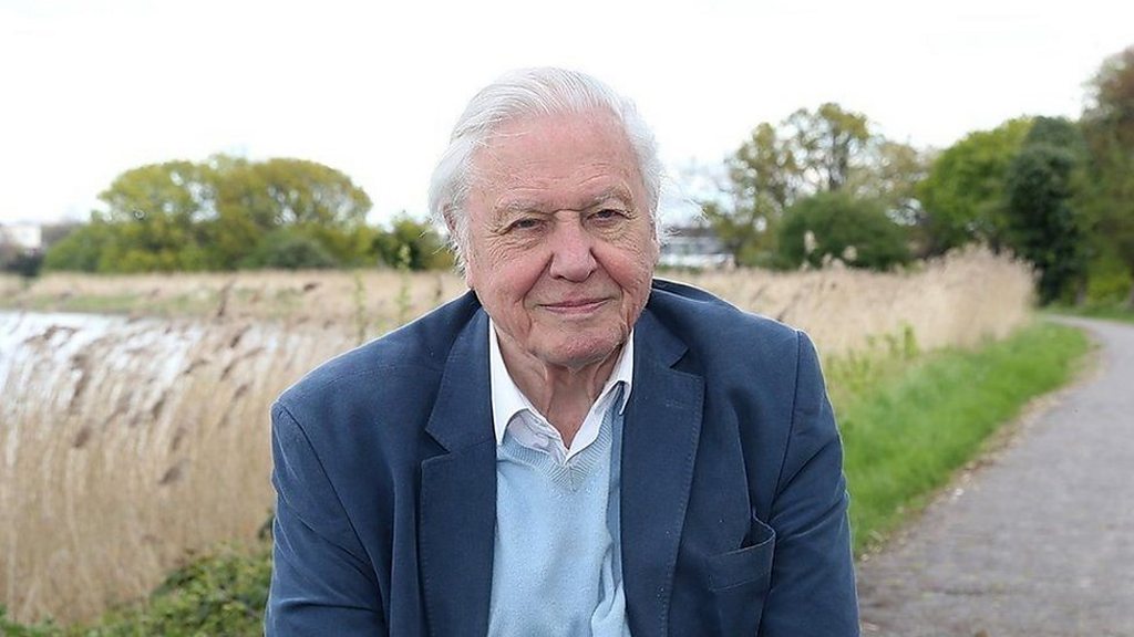 Sir David Attenborough warns of climate 'crisis moment' - BBC News