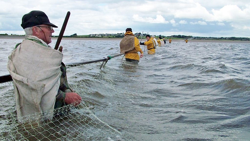 Haaf Net Fishing - Solway Firth Partnership