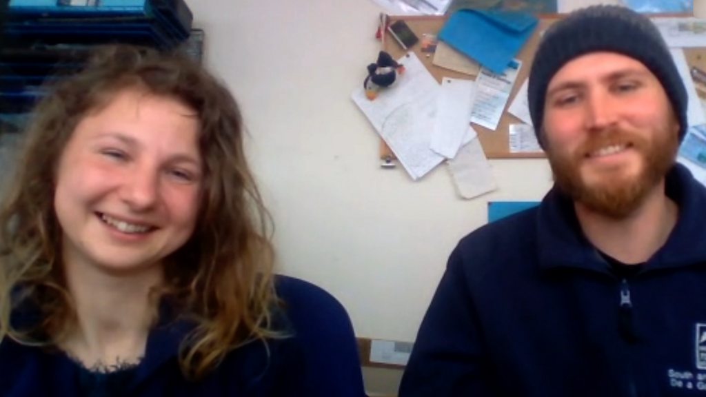 Coronavirus: Skomer man himself isolated on the island, with only five people