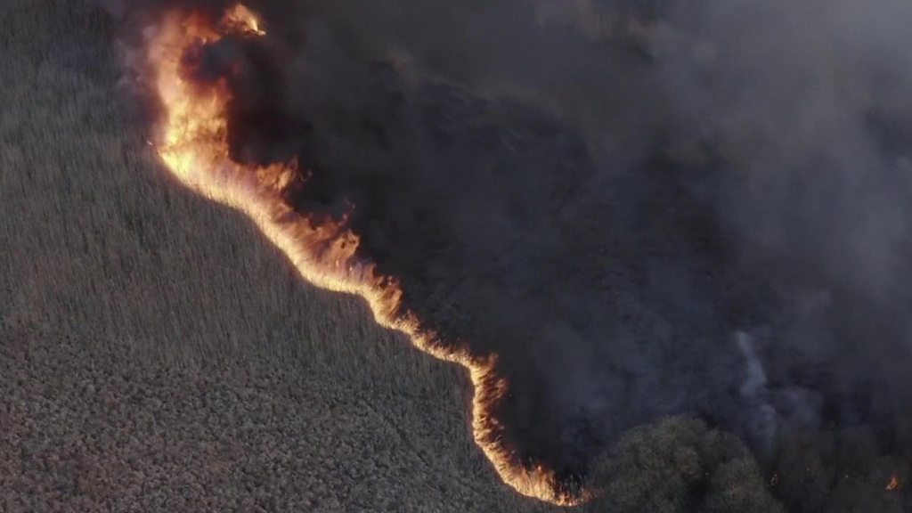 Chernobyl: Ukraine officials call for calm as fire rages