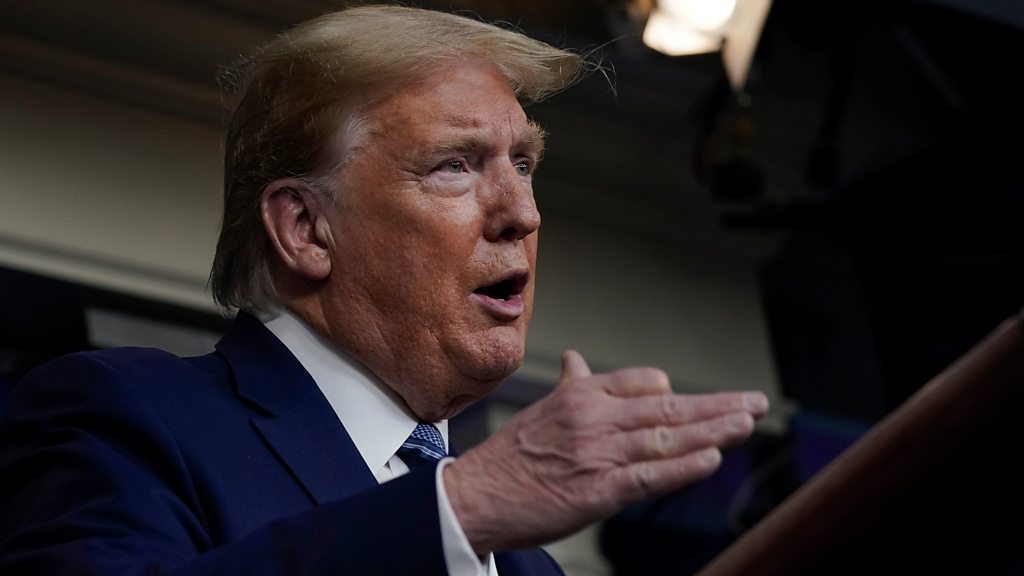 Coronavirus: Trump signs order on immigration green card suspension