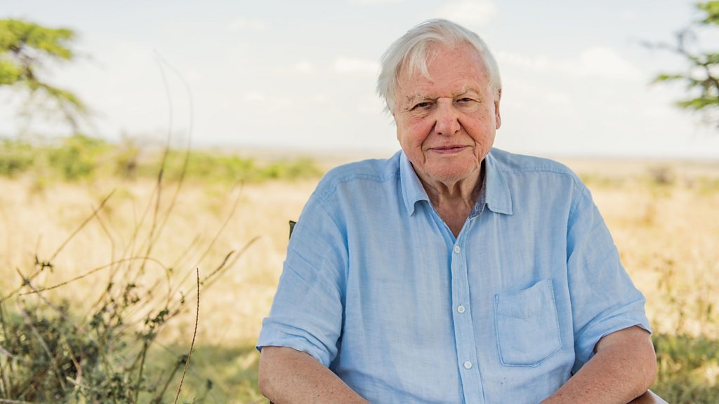BBC News - Sir David Attenborough spent lockdown 'listening to birds'