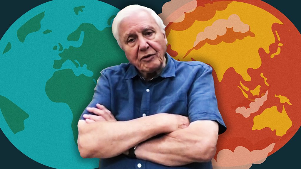 Attenborough: 'Curb excess capitalism' to save nature