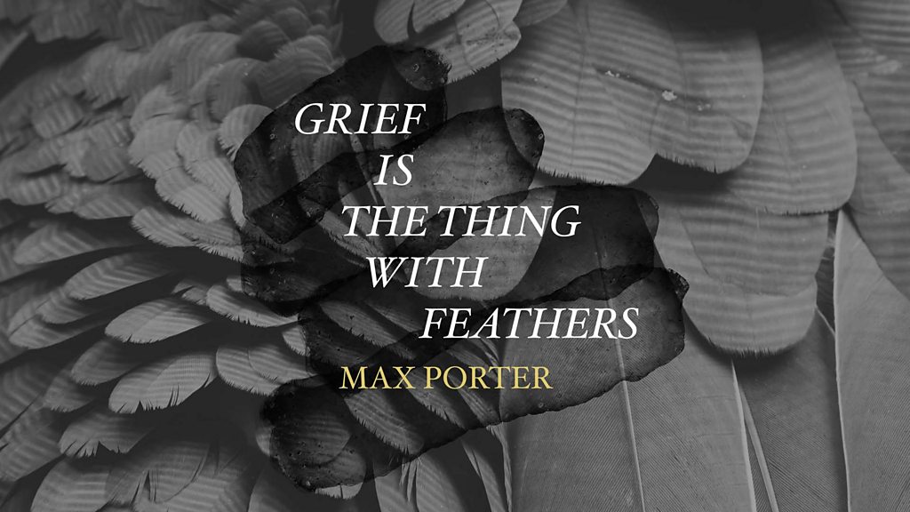 grief is the thing with feathers review
