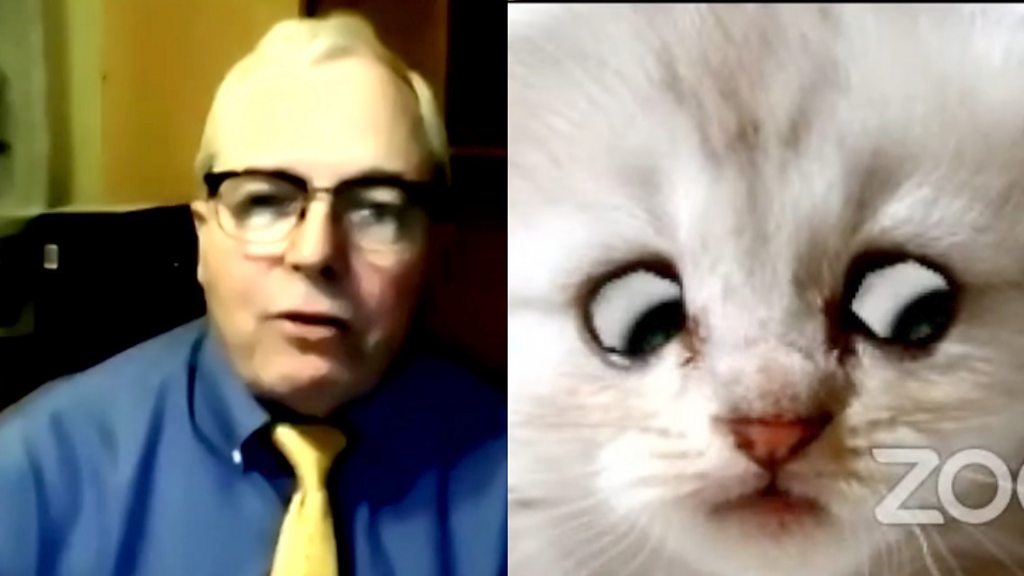 Cat Zoom Lawyer Rod Ponton Surprised To Become Internet Star c News