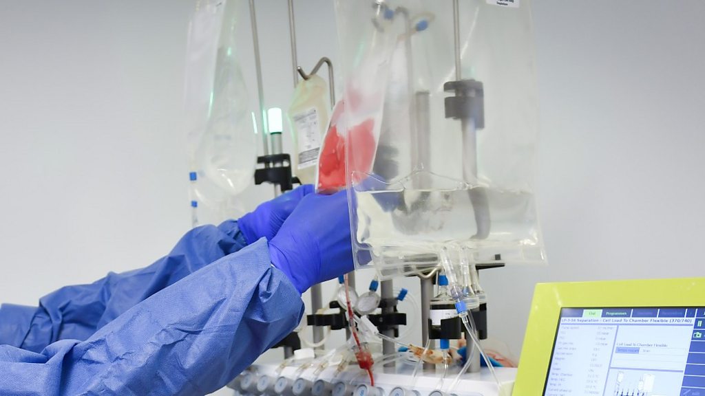 Newsday The promising treatment for some cancers BBC Sounds