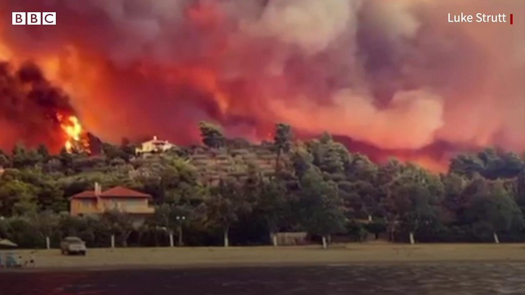 ギリシャ エヴィア島などで山火事 船で避難も cニュース