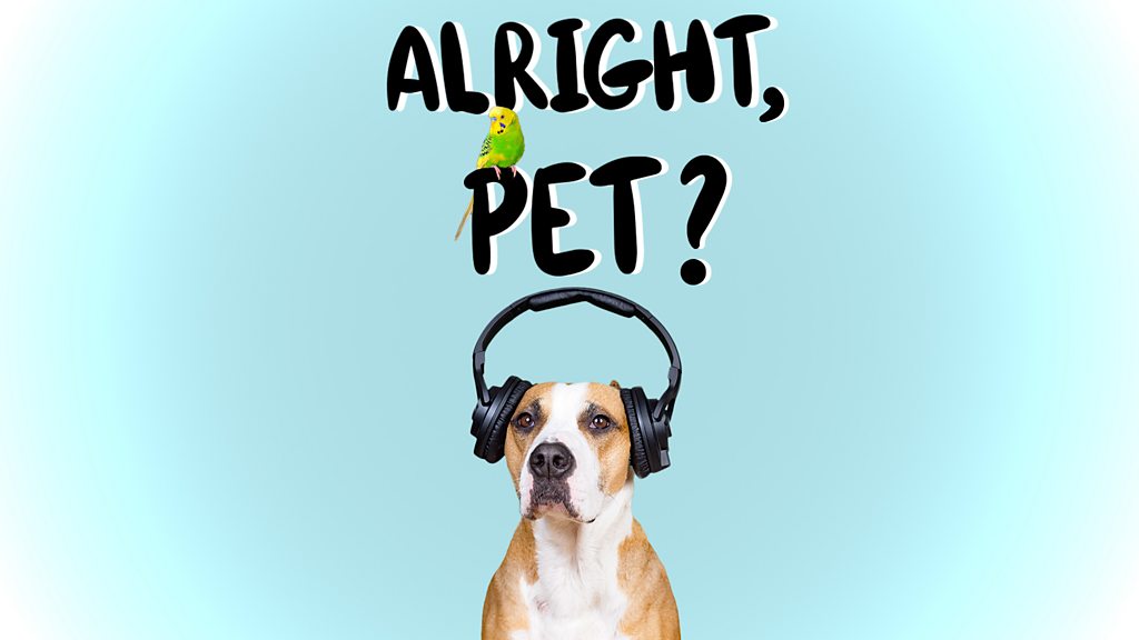 BBC Sounds - Alright, Pet? - Available Episodes