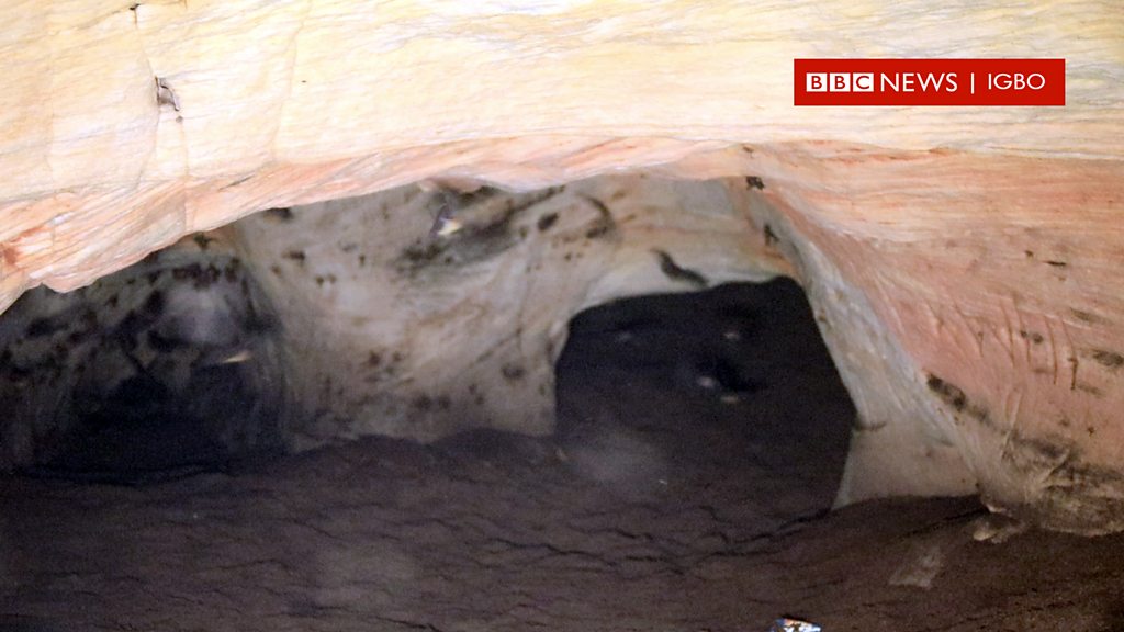 Chubby jinsiy aloqa videolar Ichida sanat porno