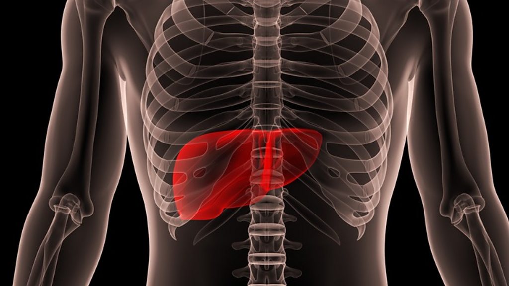 Yalangoch chiroyli xizmatkor