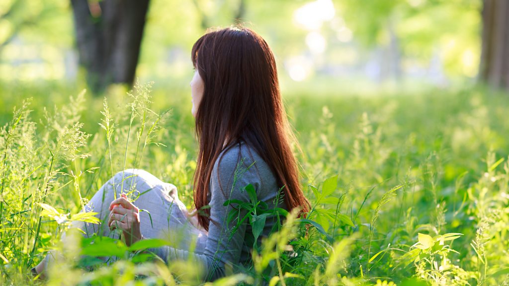 BBC Audio | People Fixing the World | The healing power of forests