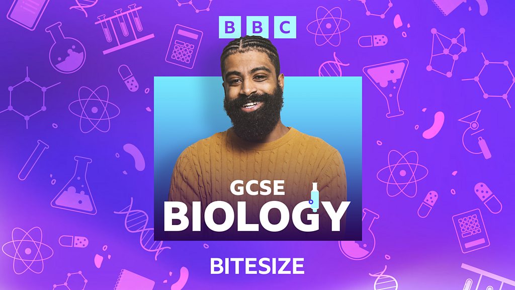 bbc-sounds-bitesize-gcse-biology-available-episodes