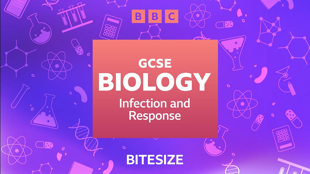 BBC Sounds - Bitesize GCSE Biology - Available Episodes