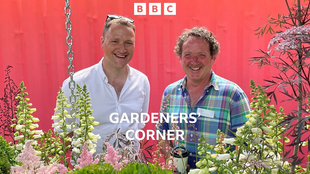 Gardeners' Corner Gardeners’ Corner at Garden Show Ireland BBC Sounds