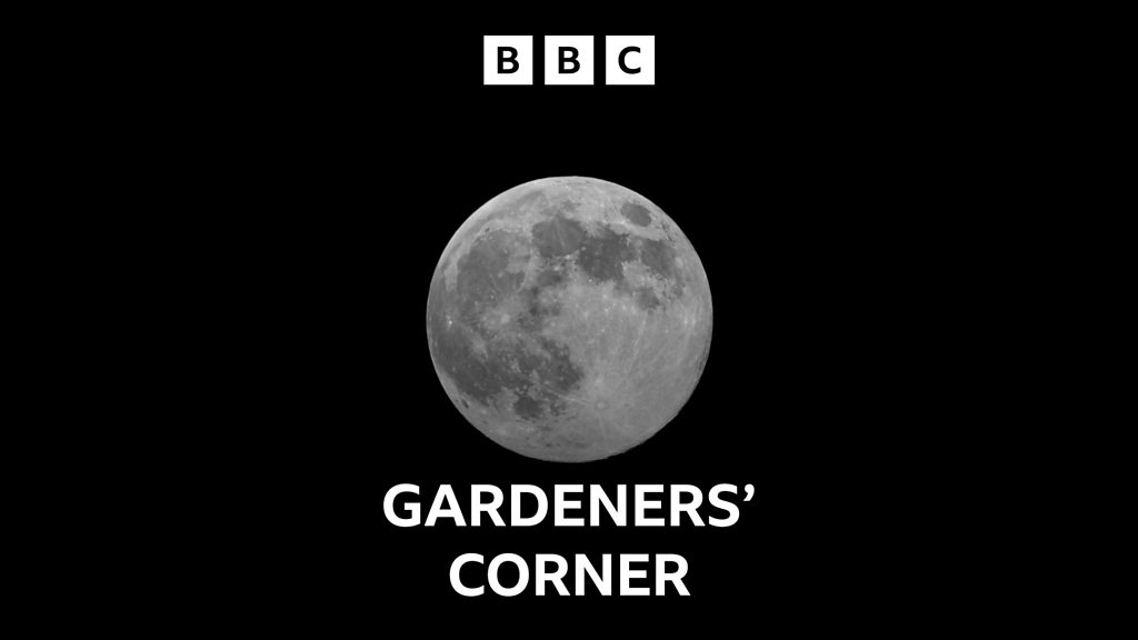 Gardeners' Corner Gardening on the moon, magical meadows and Herb of