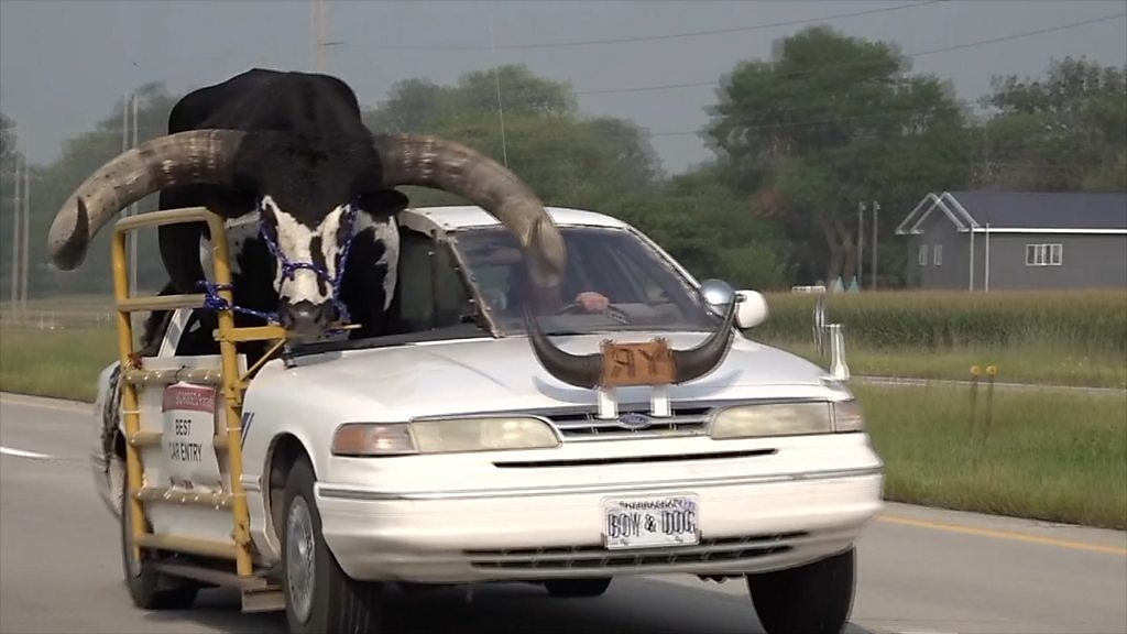 助手席に大きな「雄牛」乗せた車、警官に止められる　米ネブラスカ州