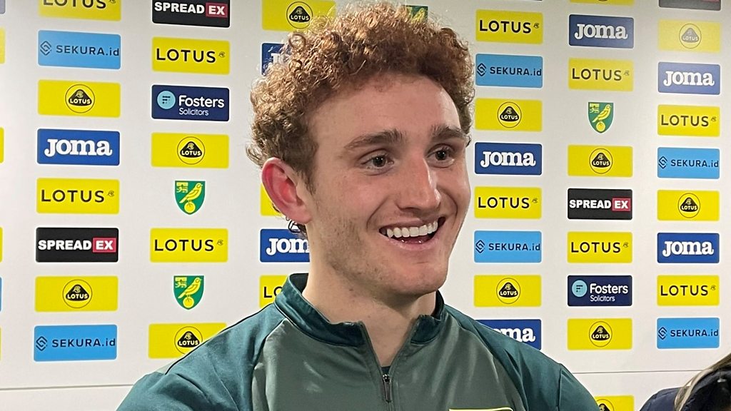It's been rollercoaster' - Norwich City striker Josh Sargent: - BBC Sport