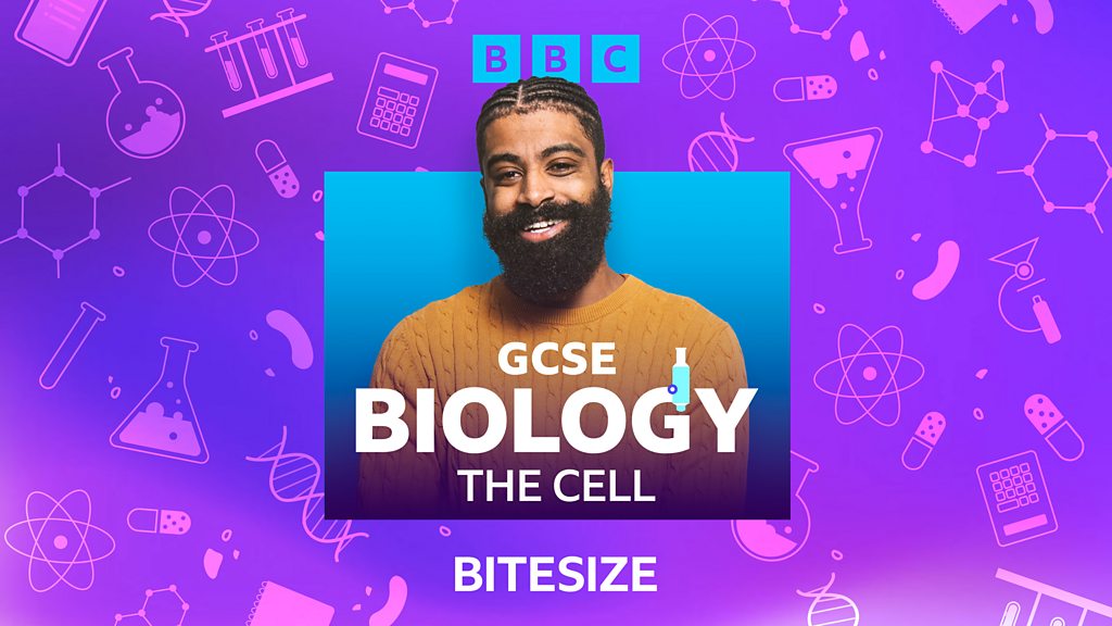 Bitesize GCSE Biology - Series 1: The Cell - 1. Cell Structure - BBC Sounds