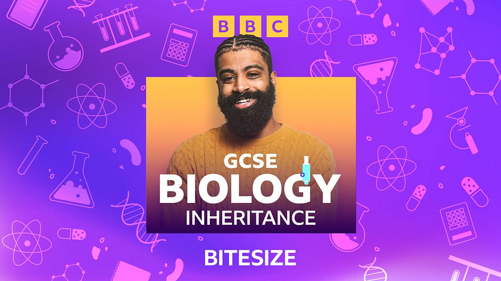 Bbc sounds bitesize gcse biology available episodes