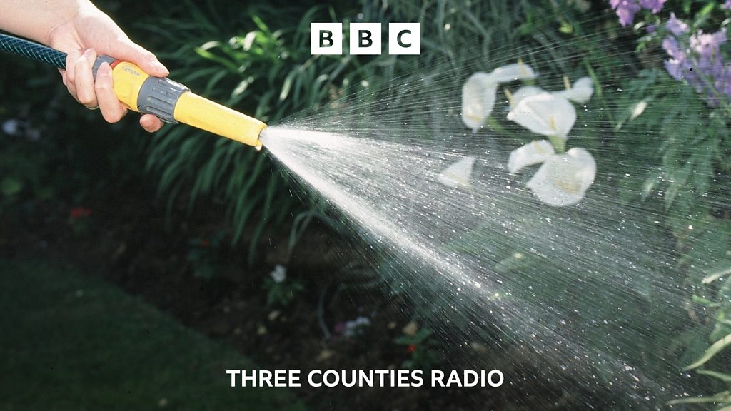 No hosepipe ban, says Anglian Water BBC Sounds