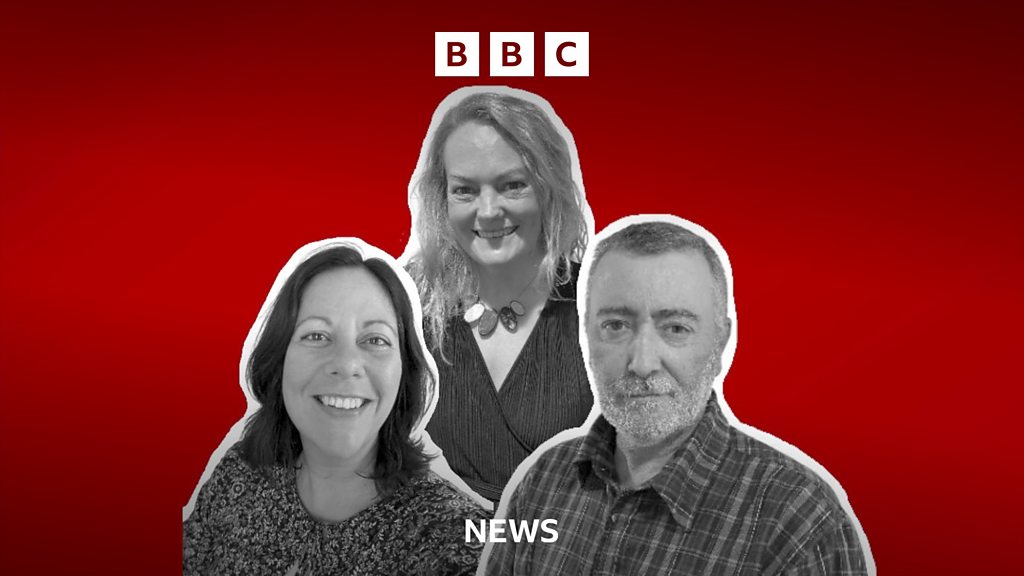 Explained What are local elections? Explained What are local