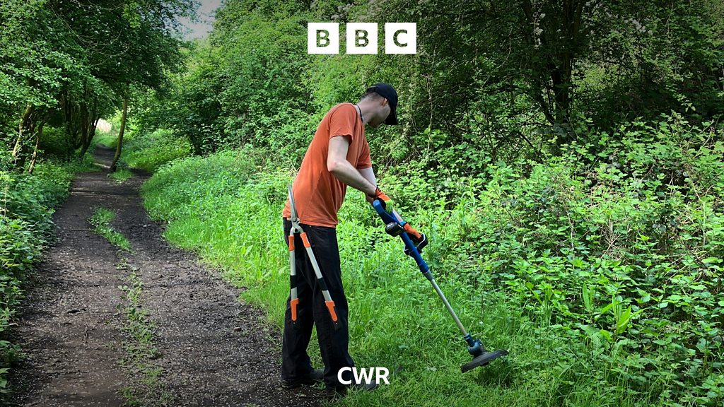 The volunteers looking after Cawston's disused railway - BBC Sounds