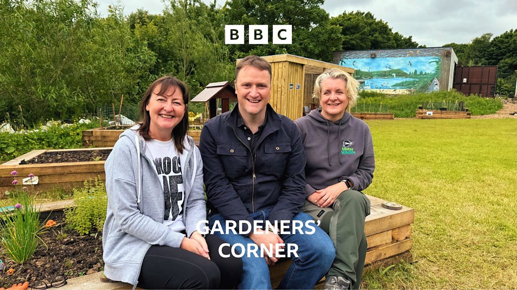 Gardeners' Corner - How To Grow An Orchard On Your Patio, Bog Meadows 