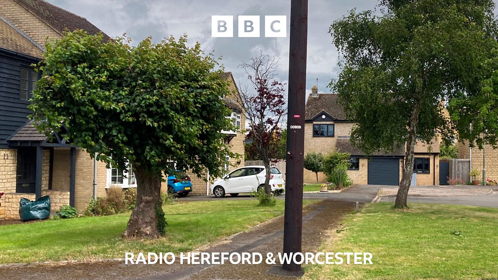 Legal action over village's 'monstrous' internet poles - BBC Sounds