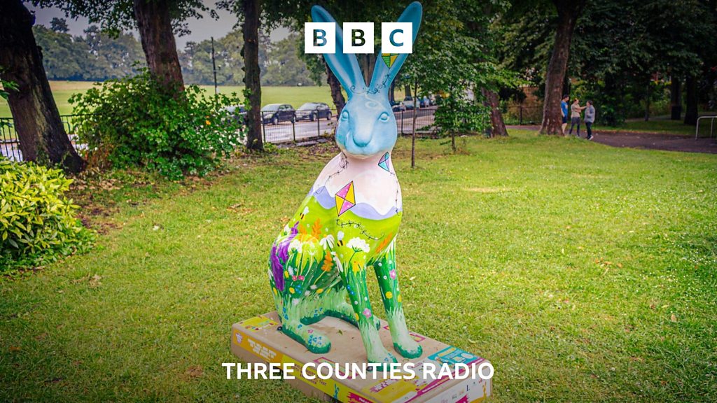 What are those Luton animal sculptures? - BBC Sounds