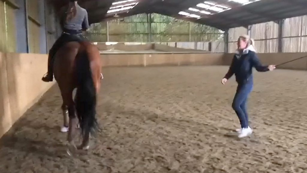whippig 