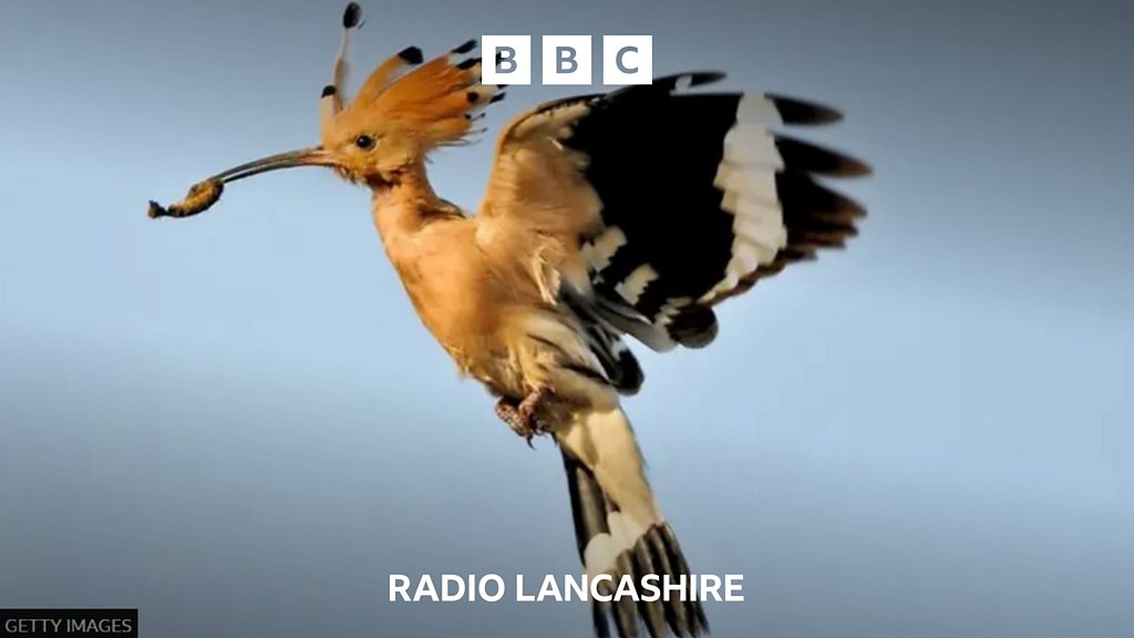 Flying into Foulridge BBC Sounds