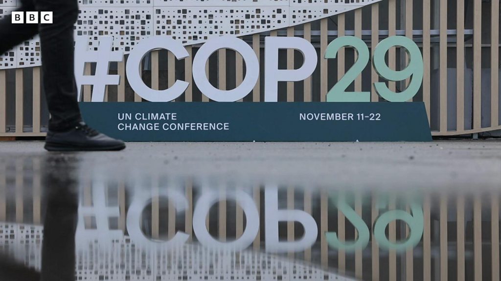 新品 未使用 タリホー 3シーズン 2019夏・2020秋・2020冬 トランプ 新品 未使用 タリホー 3シーズン 2019夏・2020秋・2020冬 トランプ