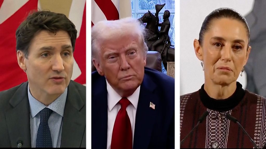 Canada, China and Mexico vow to respond after Trump imposed 25% import duties