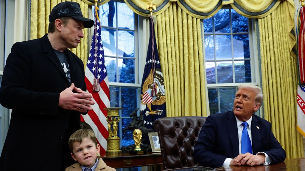 Elon Musk denies 'hostile takeover' of government in surprise White House  appearance