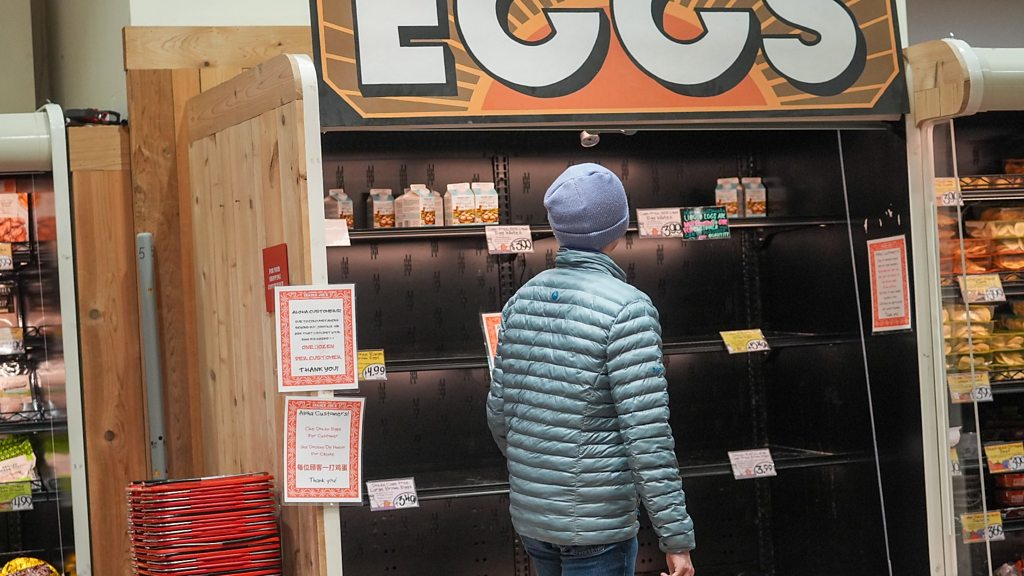 Business Daily - What's going on with US egg prices? - BBC Sounds