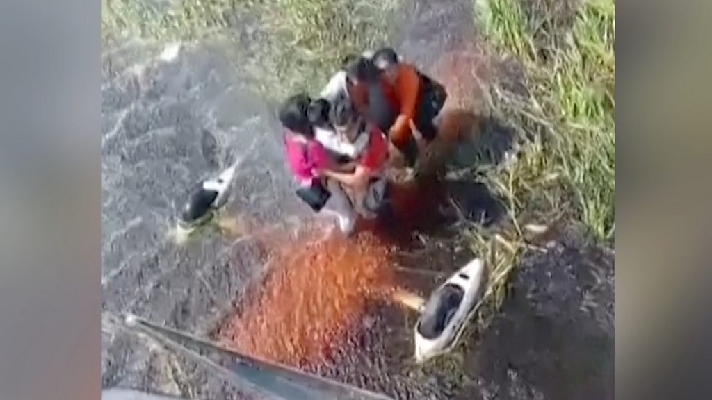 Five people survive 36 hours in swamp 'surrounded by alligators' after plane crash