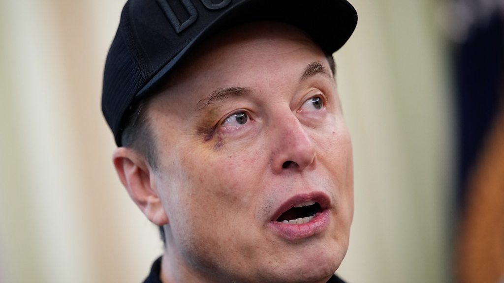 Trump says Elon Musk 'not really leaving' in Oval Office farewell