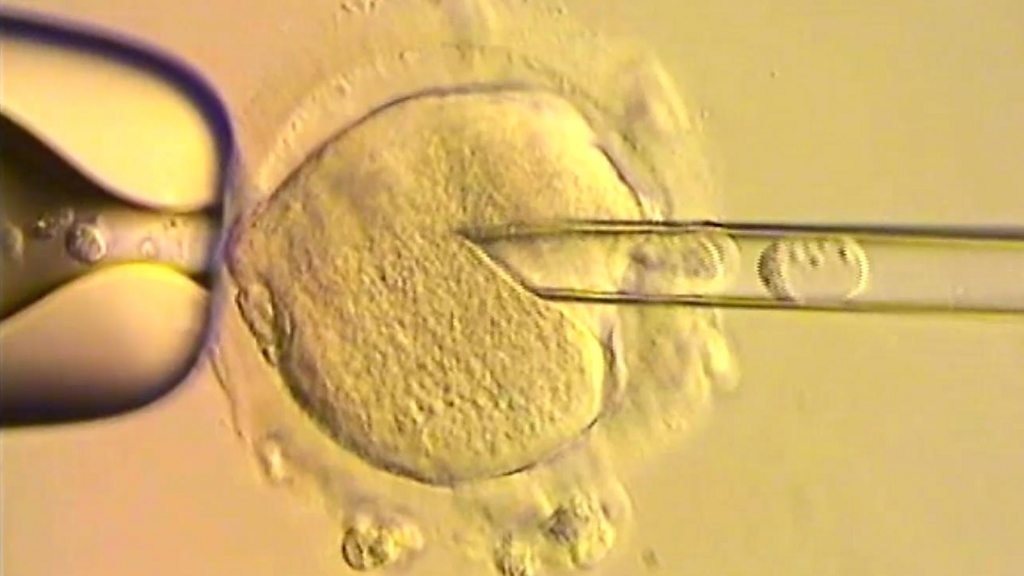 Porno chizilgan formada qizlar