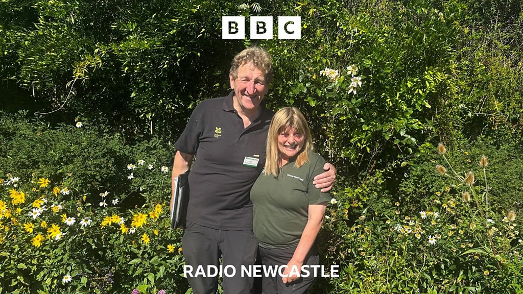 Gilly Hope on BBC Radio Newcastle - A hidden oasis in the heart of Durham city - BBC Sounds