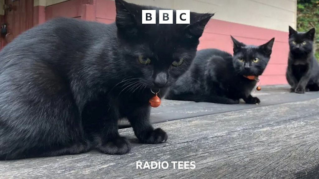 www.bbc.co.uk