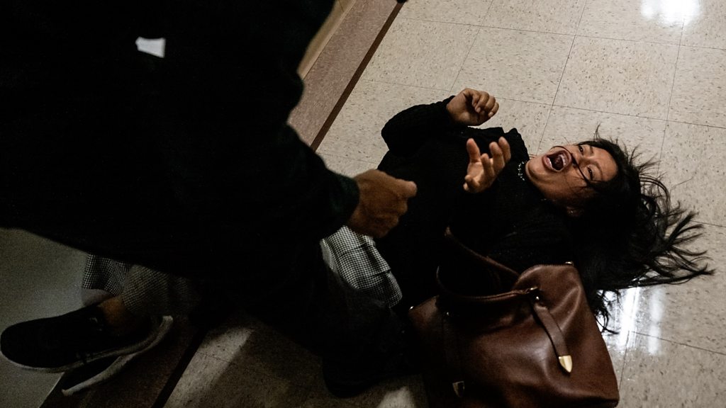 ICE officer disciplined after shoving woman to ground in New York