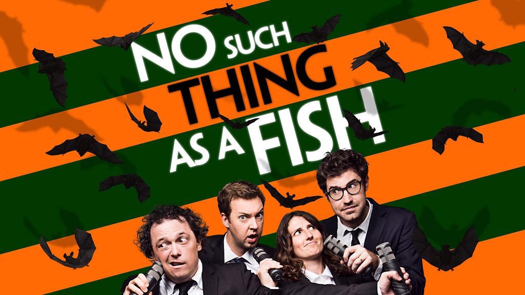 No Such Thing As A Fish No Such Thing As Jousting Parrotfish BBC Sounds no-such-thing-as-a-fish-no-such-thing-as-jousting-parrotfish-bbc-sounds