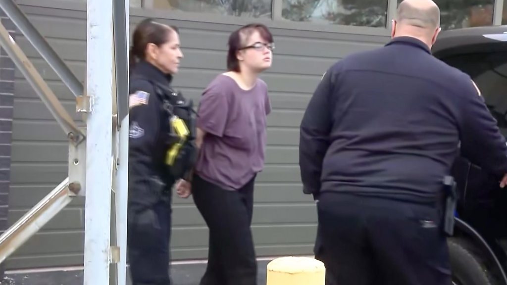 Morgan Geyser, 'Slender Man' stabber, captured after fleeing custody