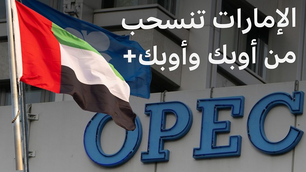 فيديو, ماذا نعرف عن أوبك وأوبك+ التي أعلنت الإمارات انسحابها منها؟, المدة 4,03