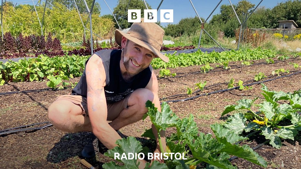 Bristol's Lush Greens: Urban Farming Against Food Inequality